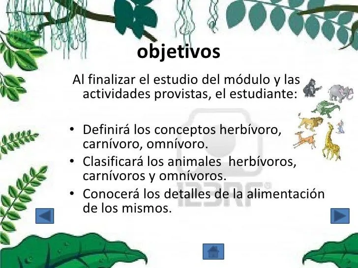 clasificacin-de-los-animales- ...