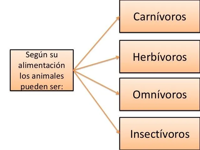 clasificacin-de-los-animales- ...