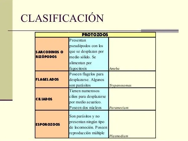 clasificacin-seres-vivos-11- ...