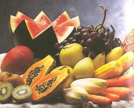 Clasificación de los alimentos