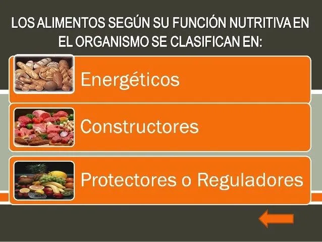 Clasificacion de los alimentos