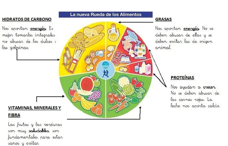 clasificacion de los alimentos energéticos constructores y ... clasificacion de los alimentos energéticos constructores y ...