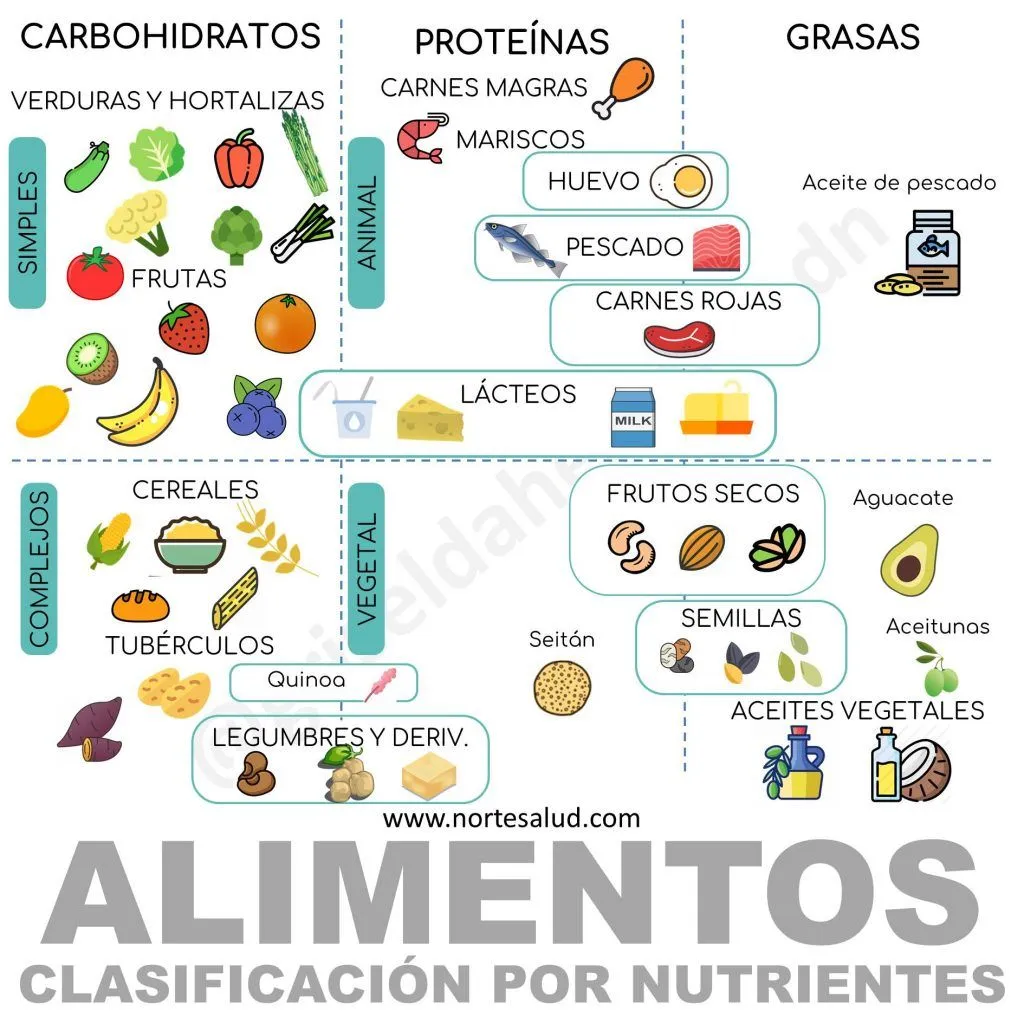 Clasificación de los alimentos según sus nutrientes - Norte Salud Nutrición Clasificación de los alimentos según sus nutrientes - Norte Salud Nutrición