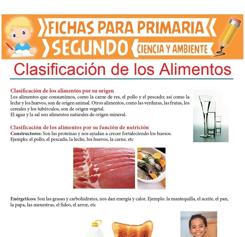 Clasificación de Los Alimentos para Segundo de Primaria Clasificación de Los Alimentos para Segundo de Primaria