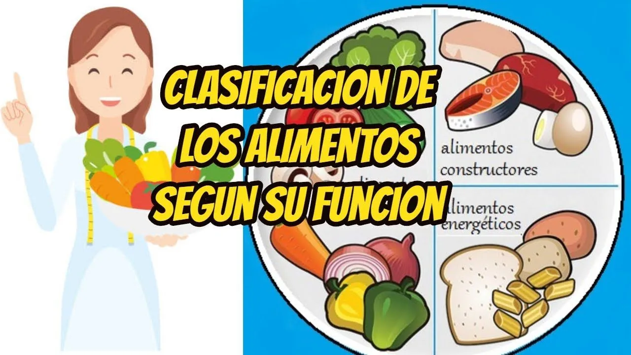 CLASIFICACIÓN DE LOS ALIMENTOS SEGÚN SU FUNCIÓN /APRENDE EN CASA - YouTube CLASIFICACIÓN DE LOS ALIMENTOS SEGÚN SU FUNCIÓN /APRENDE EN CASA - YouTube