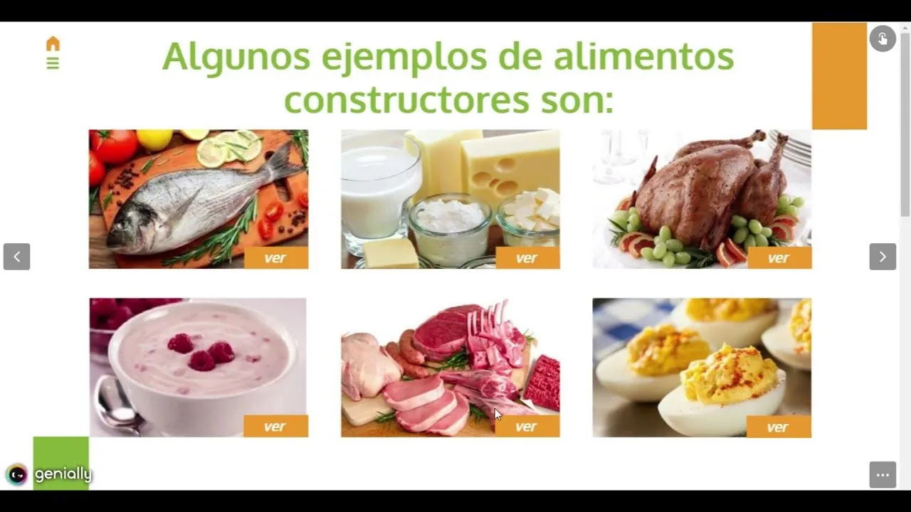 Clasificación de los alimentos - YouTube