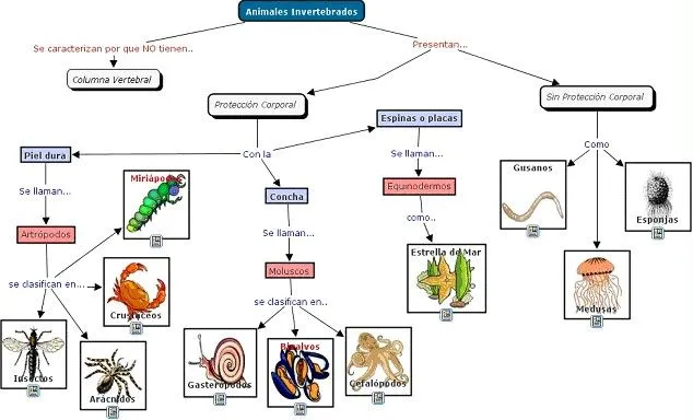CLASIFICACIÓN DE ANIMALES