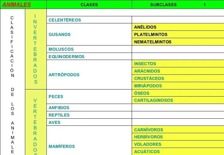 CLASIFICACIÓN DE LOS ANIMALES