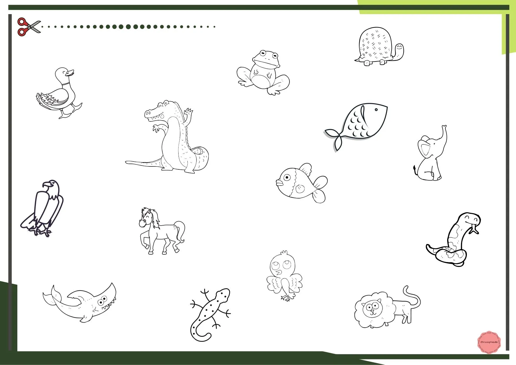 Clasificación de los animales