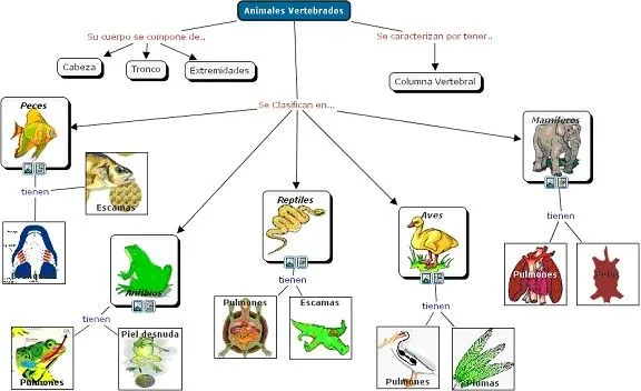 CLASIFICACIÓN DE ANIMALES