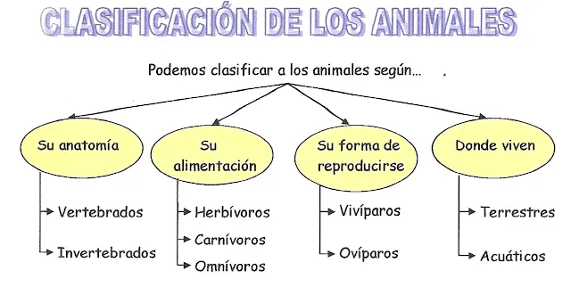 Clasificación de los animales - Imagui