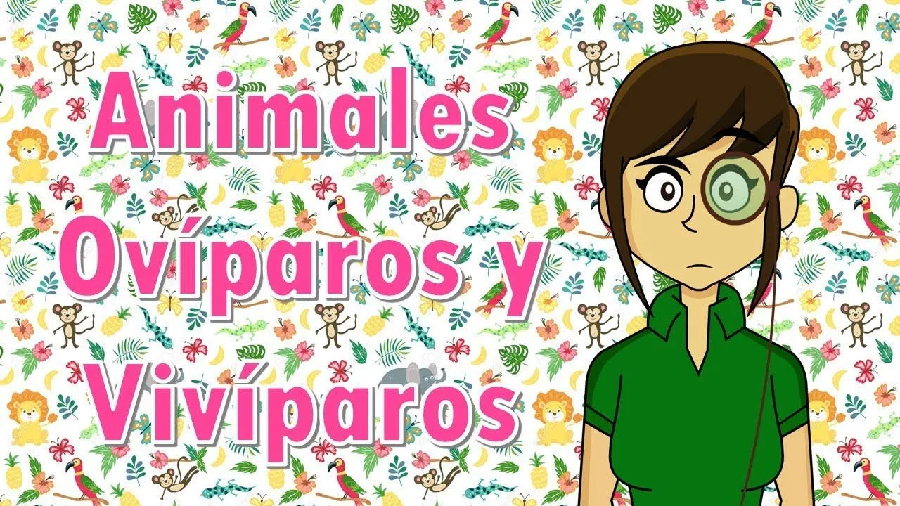 Clasificación de animales ovíparos, vivíparos y ovivíparos - YouTube Clasificación de animales ovíparos, vivíparos y ovivíparos - YouTube