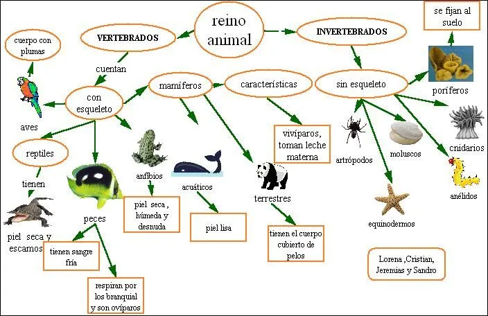 clasificación animales primaria