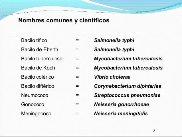 clasificacin-bacteriana-6-638. ...