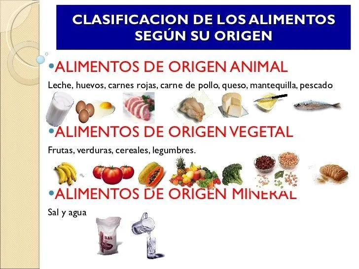 clasificacion-de-los-alimentos ...