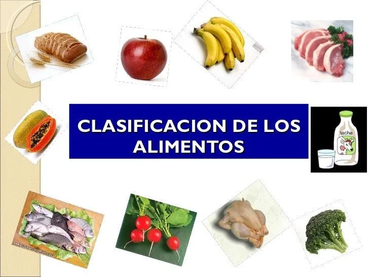 Clasificacion de los alimentos