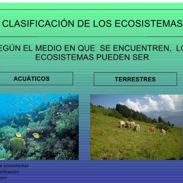 Clasificación de los ECOSISTEMAS - ¡¡RESUMEN + ESQUEMAS!! Clasificación de los ECOSISTEMAS - ¡¡RESUMEN + ESQUEMAS!!