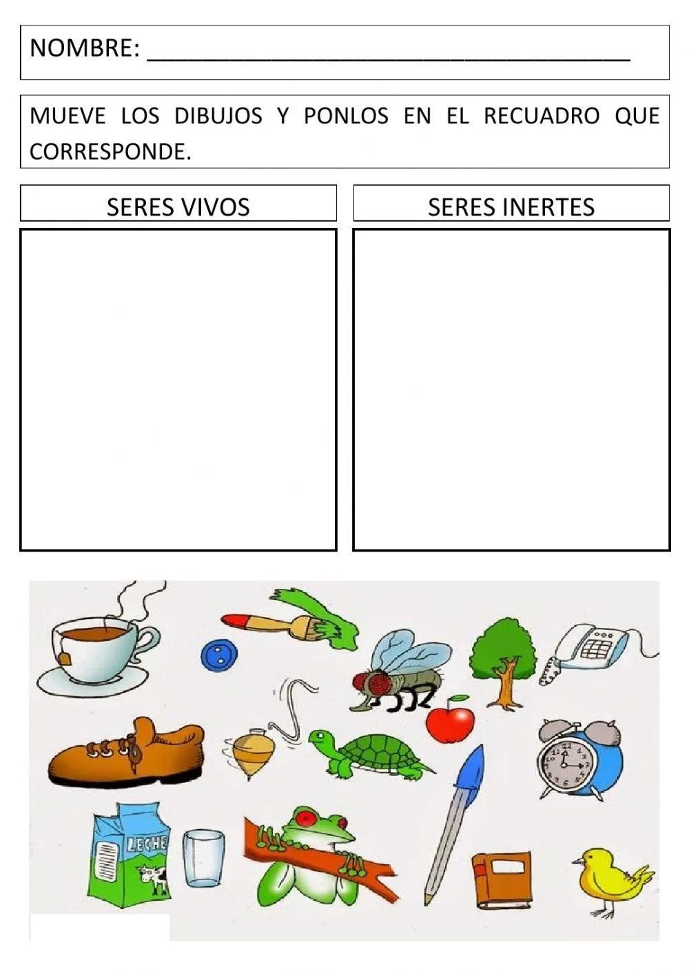 Clasificación seres vivos e inertes worksheet | Live Worksheets