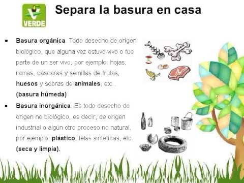 Clasificación de basura orgánica e inorganica - Imagui