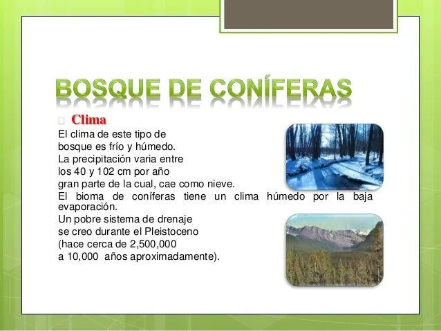 clima-flora-y-fauna-del-bosque ...