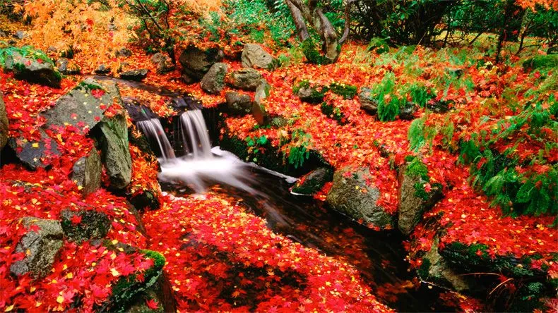 Clima y husos horarios en Canadá | Cuándo visitar Canadá