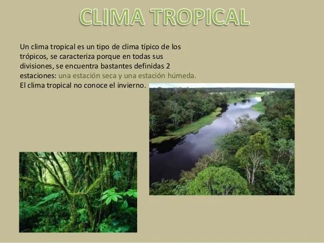 clima-tropical-3-638.jpg?cb= ...