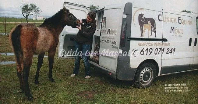 clinica-equina-movil_thumb.jpg