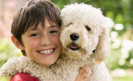 Clínica Veterinaria Guadiamar: Beneficios de tener perro para los ...