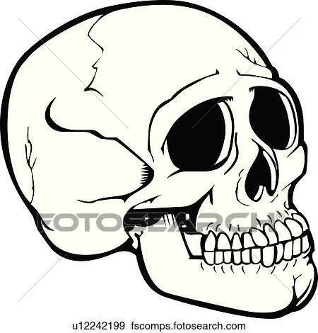 Clip Art - cráneo, cráneos, muerte, condenación, escalofriante ... Clip Art - cráneo, cráneos, muerte, condenación, escalofriante ...