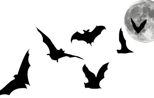 Clip Art Descargar 81 silhouettes (Página 1) - ClipartLogo.com Clip Art Descargar 81 silhouettes (Página 1) - ClipartLogo.com