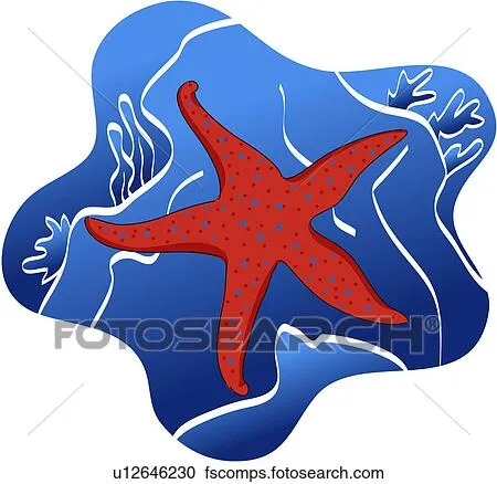 Clipart - algas marinas, estrellas de mar, roca, mar, equinodermo ...