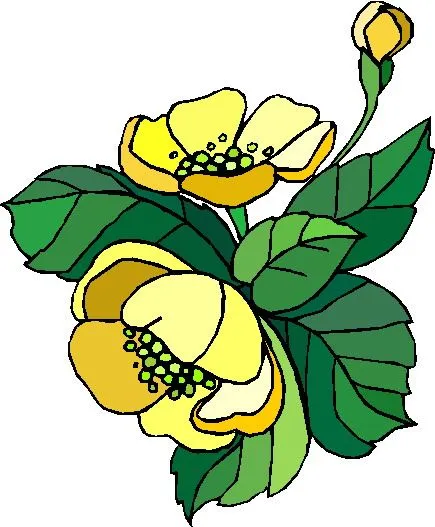 clipart_fiori_c163 clipart gratis
