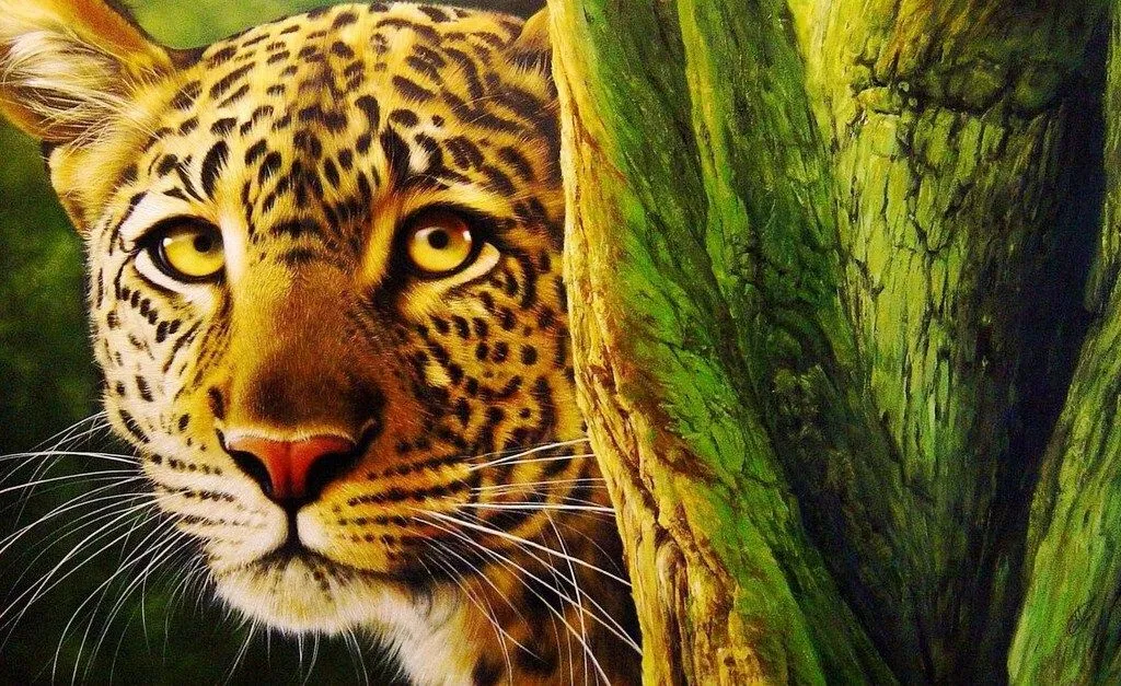 Animales Salvajes Domesticados, Pintura Óleo | El club del arte ...