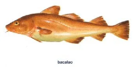 Club De Nutricion "Vida Saludable": TIPOS DE PESCADOS Club De Nutricion "Vida Saludable": TIPOS DE PESCADOS