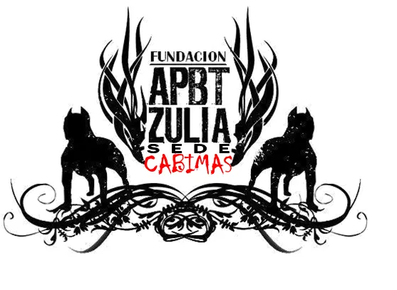 club pitbull cabimas