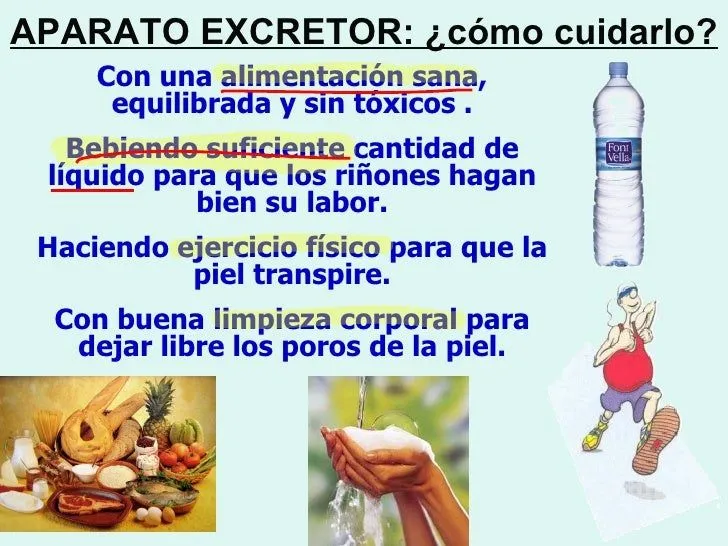 cmo-cuidar-y-prevenir- ...