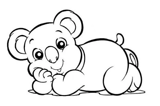 Koala Dibujos Animados Para Colorear images