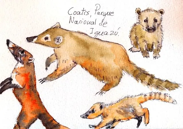 coati | Las cosas que me hacen feliz