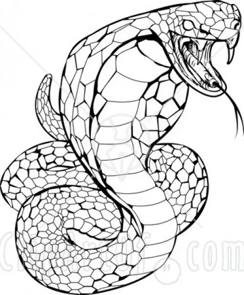 IMAGENES DE COBRAS PARA DIBUJAR - Imagui