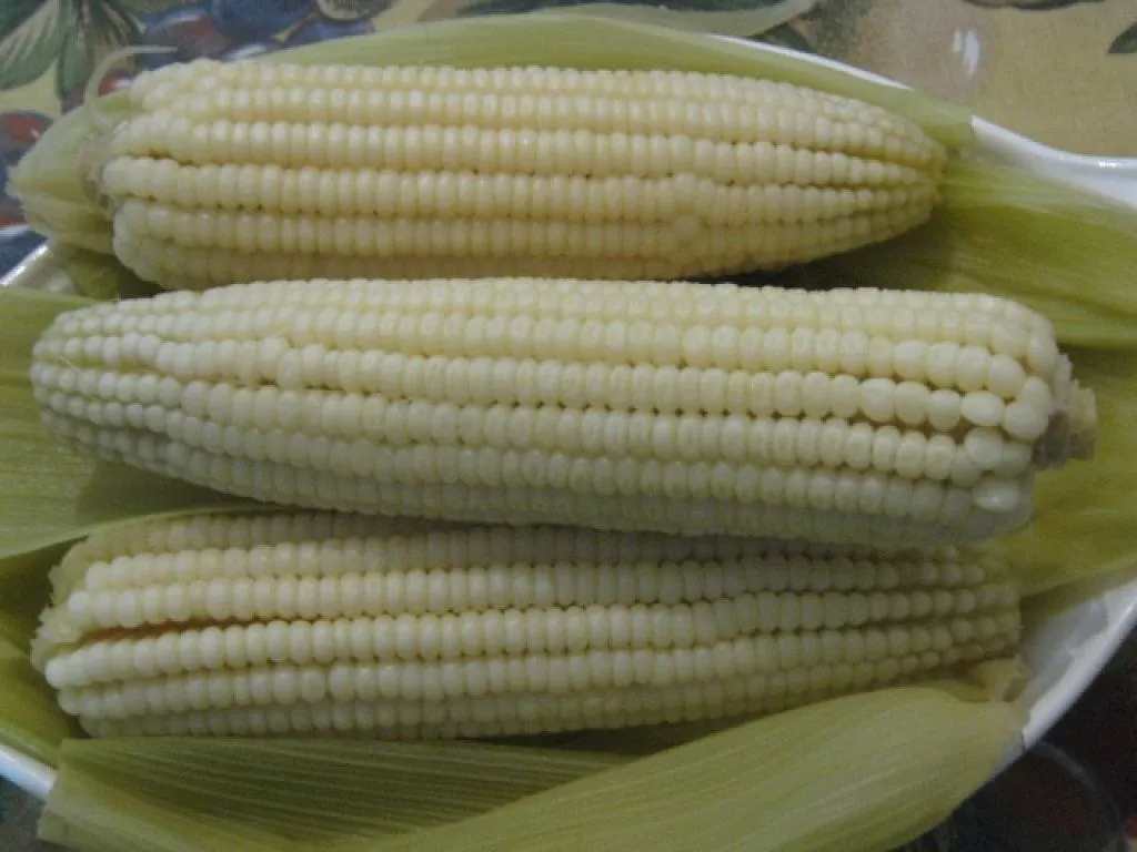 Cómo cocer elotes enteros? | Cocinar en casa es facilisimo. Cómo cocer elotes enteros? | Cocinar en casa es facilisimo.