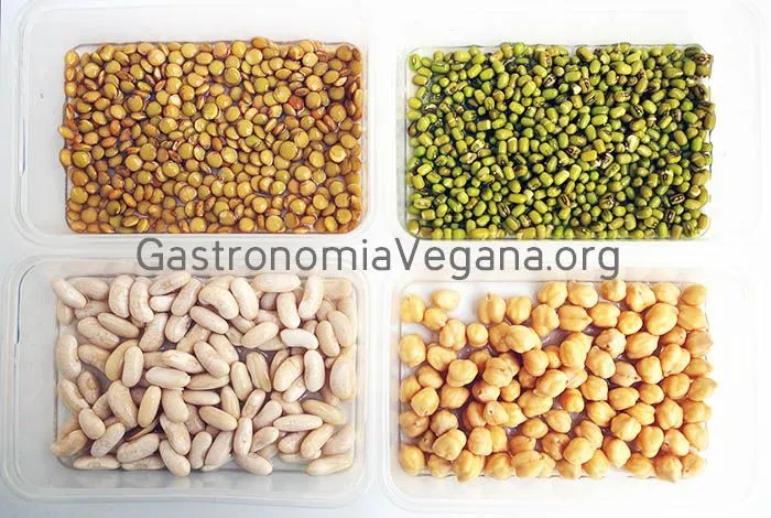 Cómo cocinar con garbanzos | Gastronomía Vegana Cómo cocinar con garbanzos | Gastronomía Vegana