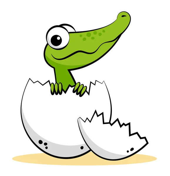 Cocodrilo de dibujos animados lindo — Vector stock © shewolf #69220883 Cocodrilo de dibujos animados lindo — Vector stock © shewolf #69220883
