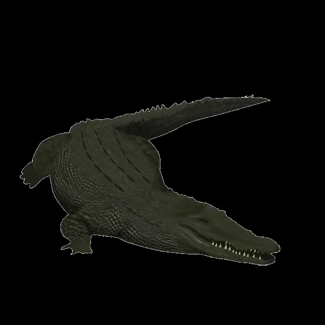cocodrilo.png