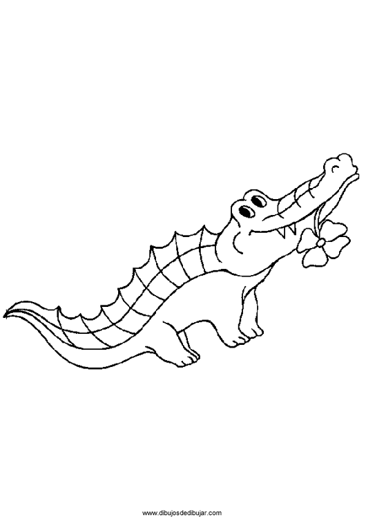 Cocodrilos, caimanes Colouring Pages (page 2)
