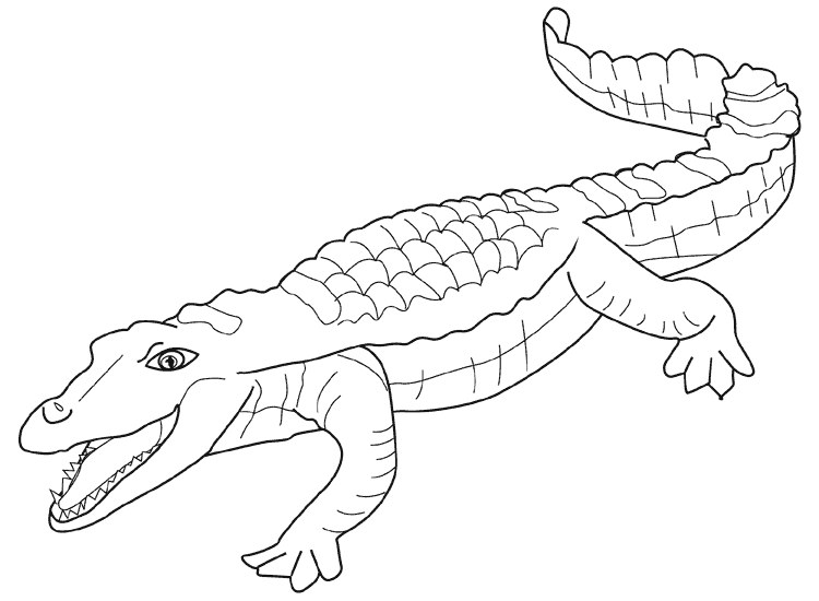 Dibujos de cocodrilos para colorear. Dibujos infantiles de ... Dibujos de cocodrilos para colorear. Dibujos infantiles de ...