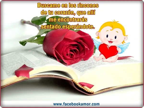 codigos de imagenes para facebook de amistad - IMG MLP codigos de imagenes para facebook de amistad - IMG MLP