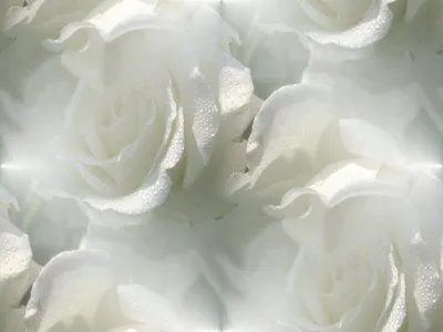 EL COFRE DE MUSA: EL VESTIDO DE LA NOVIA
