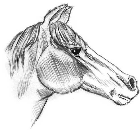 EL COFRE - Pintura artística: EL SOMBREADO EN EL DIBUJO EL COFRE - Pintura artística: EL SOMBREADO EN EL DIBUJO
