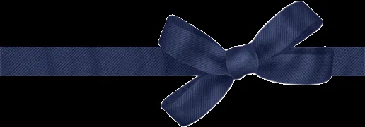 Coisas Da Laiz: PNG