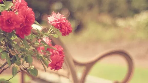 coisas de princesas | Tumblr